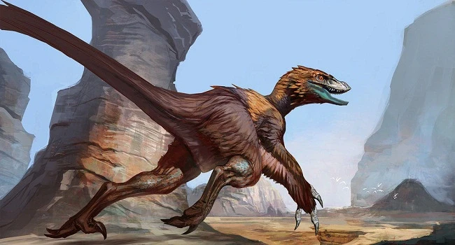 Tim hieu ve Deinonychus: Loai khung long so huu cu da chet nguoi-Hinh-4