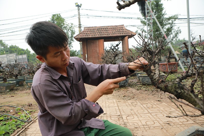 Dao that thon nam phong dieu hoa, doi tro hoa dung dip Tet Nguyen dan-Hinh-10