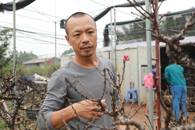 Dao that thon nam phong dieu hoa, doi tro hoa dung dip Tet Nguyen dan-Hinh-6