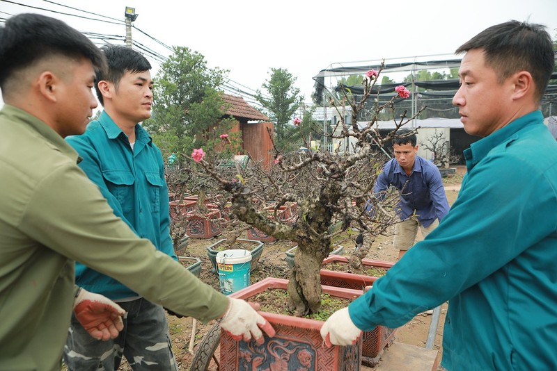 Dao that thon nam phong dieu hoa, doi tro hoa dung dip Tet Nguyen dan-Hinh-7