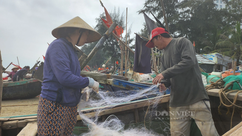 Loai ca khoai ngon o Thanh Hoa, gia ban gan 500.000 dong/kg-Hinh-5