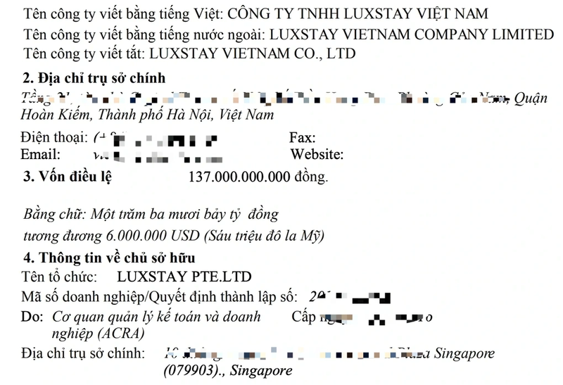 Luxstay, start up tung goi duoc 6 trieu USD tu 3 shark, hien ra sao?-Hinh-2