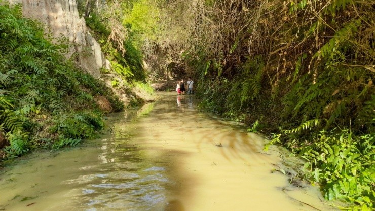 Dau nam hao huc di Suoi Tien, mang tai loc ve nha-Hinh-9