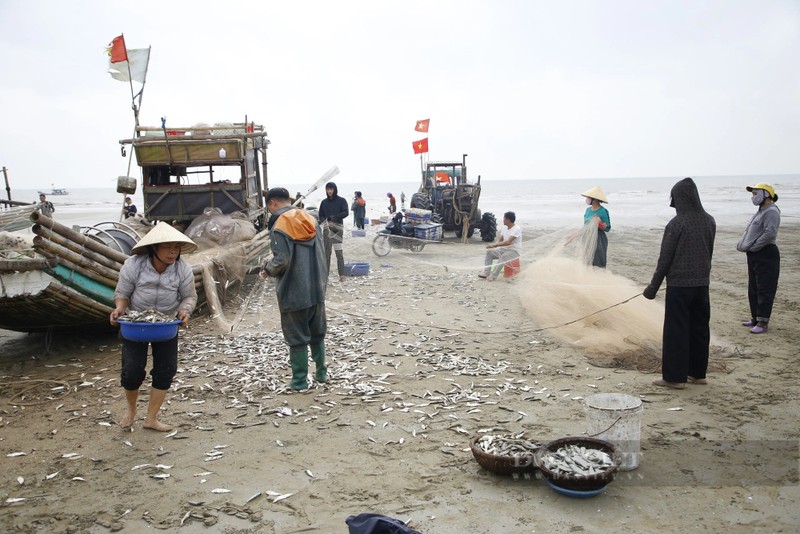 Thang Gieng, ngu dan Thanh Hoa go ca trich moi tay-Hinh-2