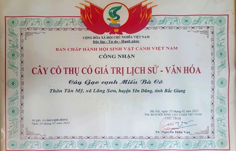 Nhieu nguoi hao huc check-in cay gao ben bo song Thuong-Hinh-6