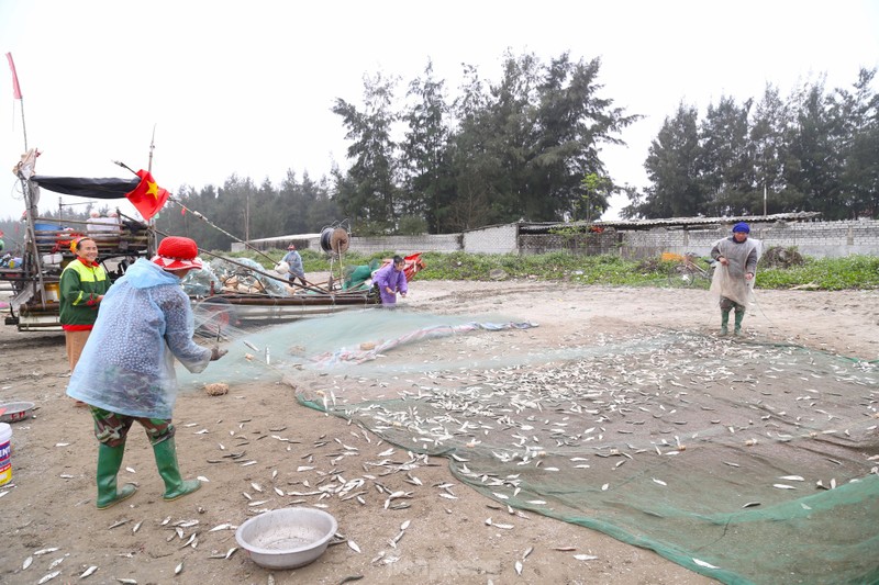 Nua dem vuot song bat ca trich, ngu dan kiem tien trieu-Hinh-5