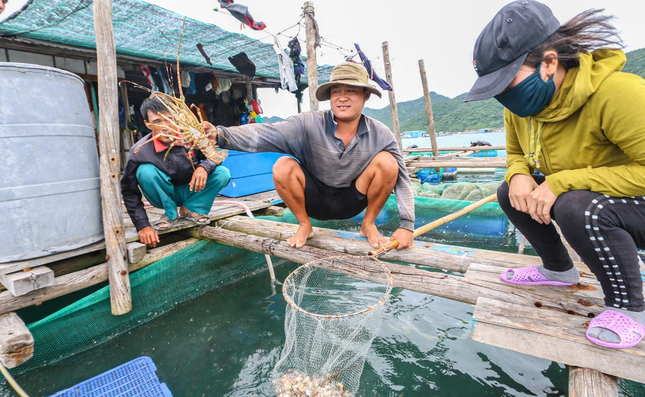 Nguyen nhan tom hum bong o Khanh Hoa chet hang loat