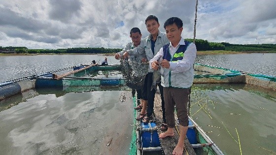 Ra ho nuoc nhan tao o Quang Tri nuoi ca dac san to bu