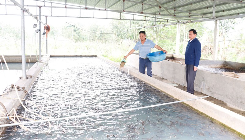 Bien ruong hoang thanh trang trai, anh nong dan lai gan 500 trieu