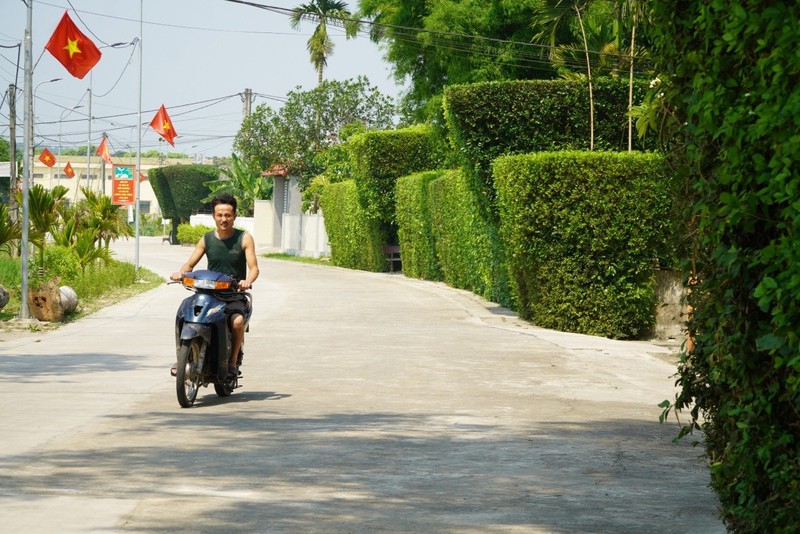 Xanh muot hang rao bang cay duoi tram tuoi o Ha Tinh