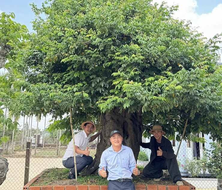 Khoi nghiep tu cay bonsai co thu, 9x Dak Lak doanh thu hang ty/nam-Hinh-4