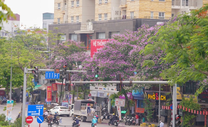 Pho phuong Ha Noi nhuom tim bang lang-Hinh-4