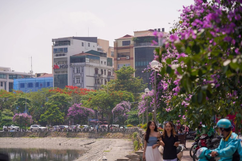 Pho phuong Ha Noi nhuom tim bang lang-Hinh-5