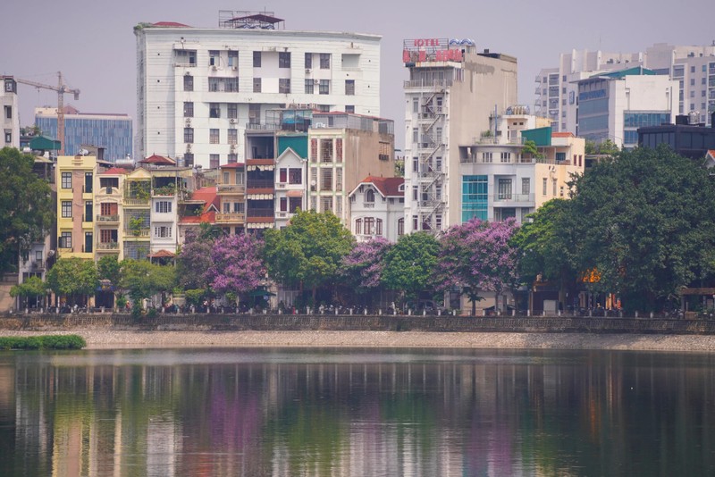 Pho phuong Ha Noi nhuom tim bang lang-Hinh-6