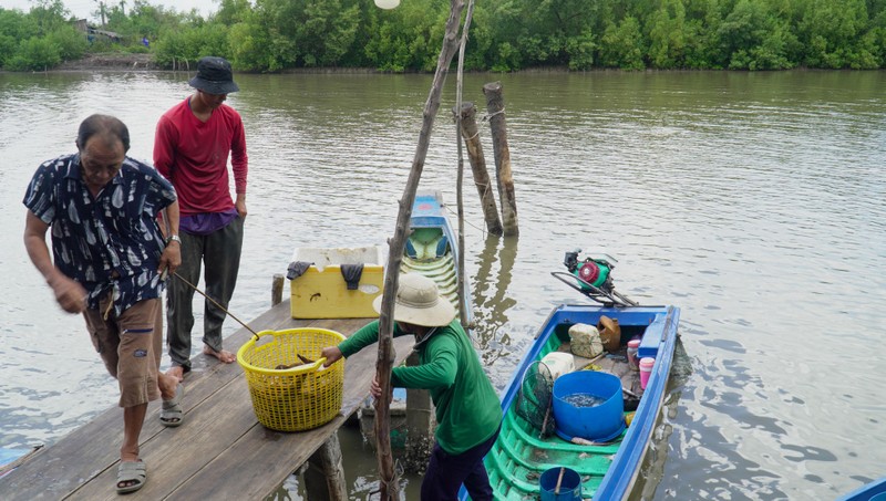 Cau kieu - nghe cau khong can moi kiem tien trieu o Ca Mau-Hinh-10