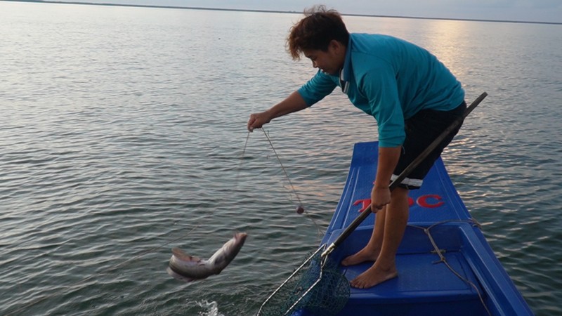 Cau kieu - nghe cau khong can moi kiem tien trieu o Ca Mau-Hinh-8