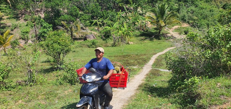 Dan vung trong “cay tien ty” vui vi trung gia sau rieng tang vot-Hinh-4