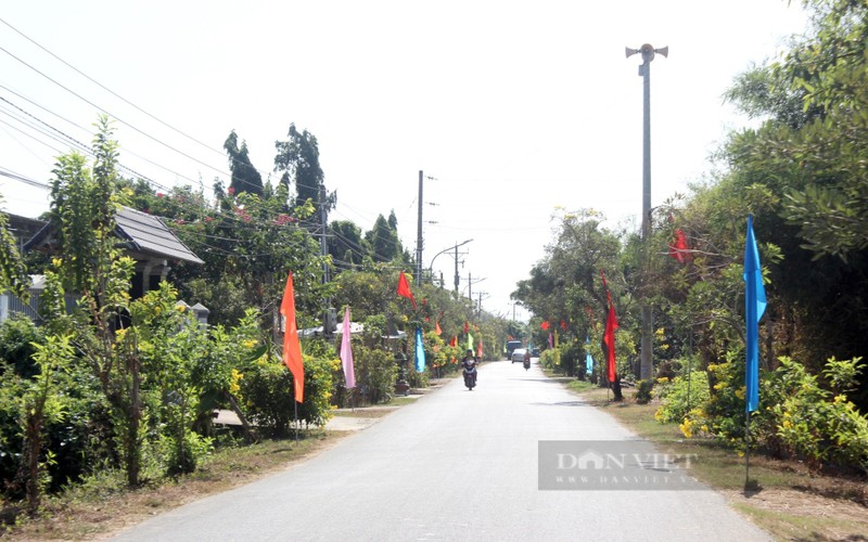 Nong thon moi kieu mau tren vung dat chuyen canh cay co mui-Hinh-4