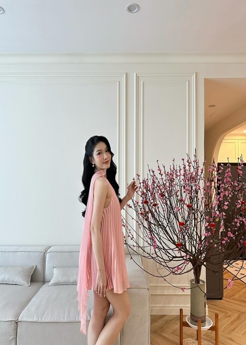 Cuoc song cua vo chong A hau Phuong Anh trong penthouse 150m2-Hinh-6