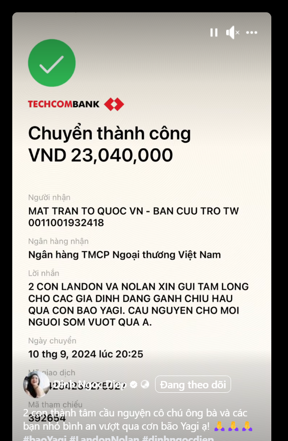 Dan nhoc ti nha sao Viet se chia voi ba con vung lu-Hinh-6