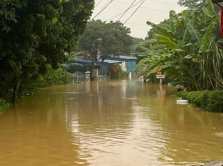 View - 	Vợ chồng lái xe xuyên đêm mang đồ cứu trợ dân vùng bão lũ