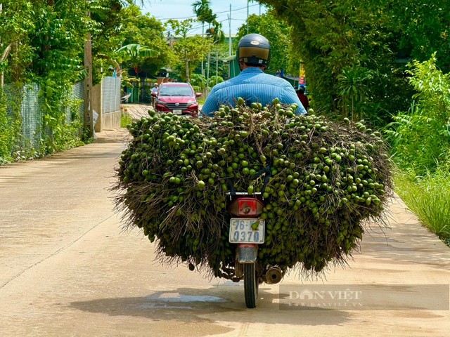 Cau tuoi duoc mua gia 90.000 dong/kg, nhieu loi ich bat ngo-Hinh-2