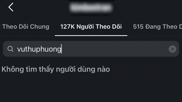 Moi quan he giua Vu Thu Phuong va con gai cua chong cu-Hinh-2