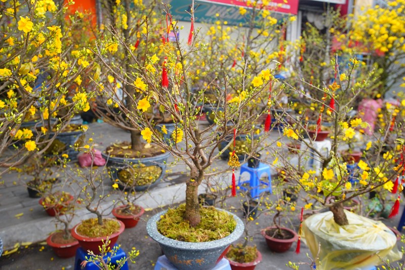 Ha Noi: Mai vang e am, tieu thuong giam gia, xa hang som-Hinh-10