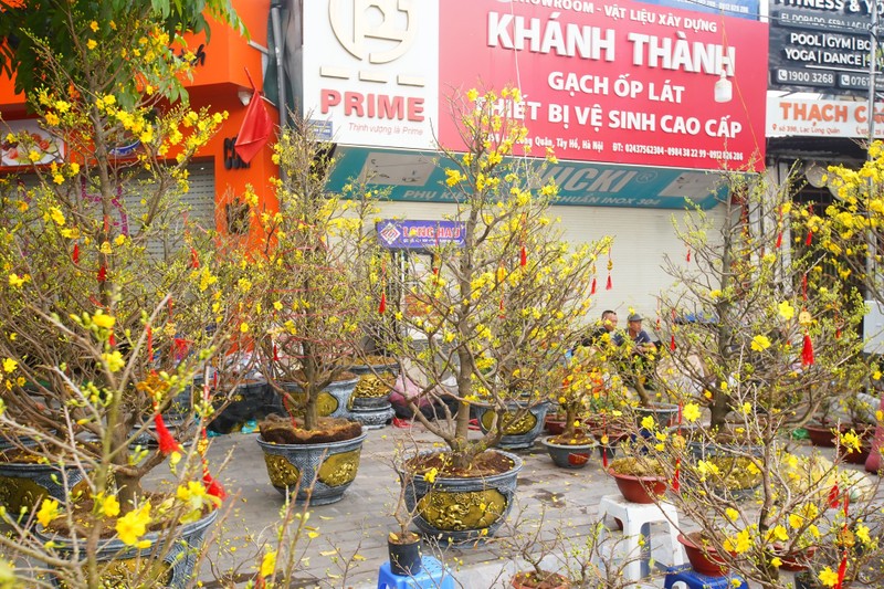 Ha Noi: Mai vang e am, tieu thuong giam gia, xa hang som-Hinh-11