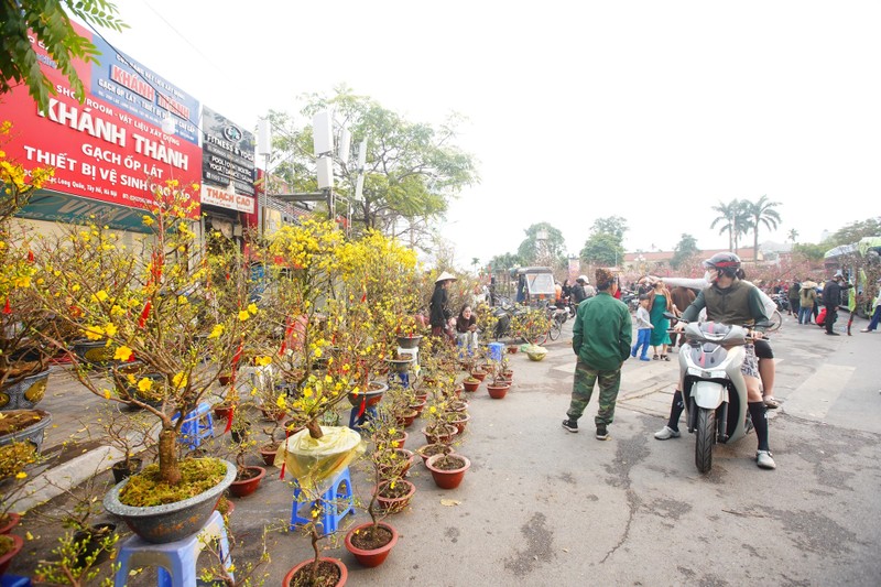 Ha Noi: Mai vang e am, tieu thuong giam gia, xa hang som-Hinh-12