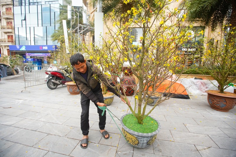 Ha Noi: Mai vang e am, tieu thuong giam gia, xa hang som-Hinh-2