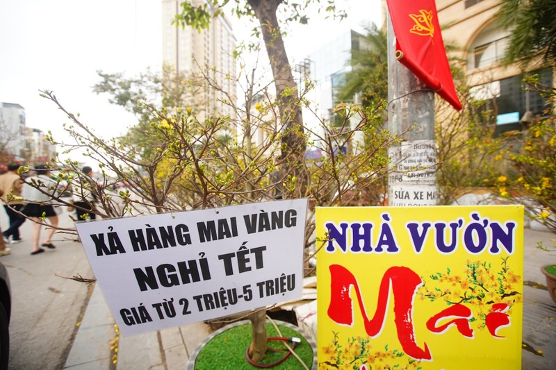 Ha Noi: Mai vang e am, tieu thuong giam gia, xa hang som-Hinh-5