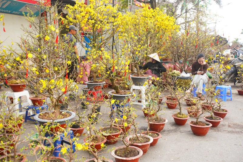 Ha Noi: Mai vang e am, tieu thuong giam gia, xa hang som-Hinh-7