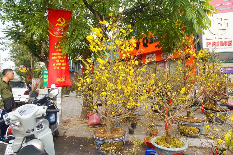 Ha Noi: Mai vang e am, tieu thuong giam gia, xa hang som-Hinh-9