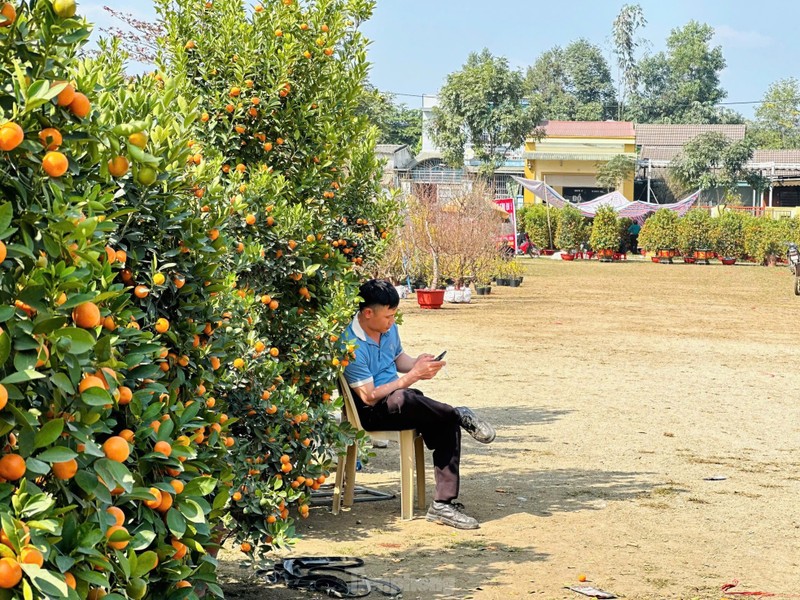 Treo bien 'xa hang', hoa Tet van vang nguoi mua-Hinh-10