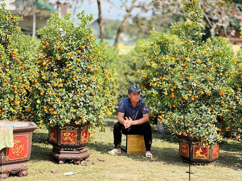 Treo bien 'xa hang', hoa Tet van vang nguoi mua-Hinh-11