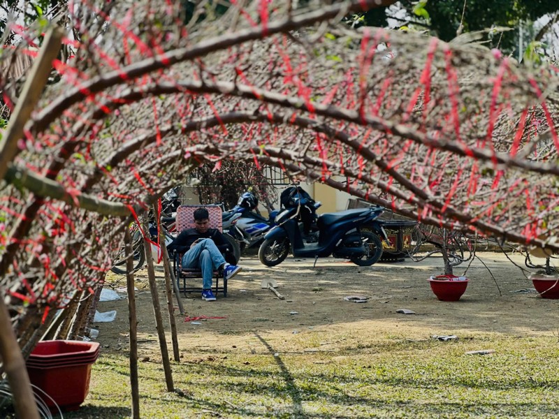 Treo bien 'xa hang', hoa Tet van vang nguoi mua-Hinh-8