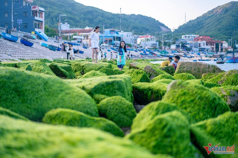 Bai da hinh vong cung tuyet dep o Quy Nhon hut du khach-Hinh-4