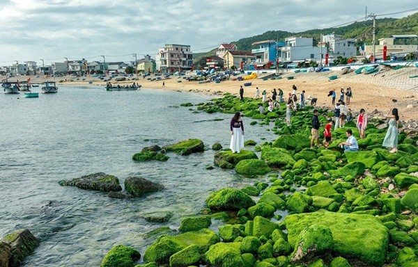 Bai da hinh vong cung tuyet dep o Quy Nhon hut du khach