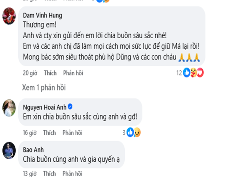 Me ca si Quang Dung qua doi, dan sao Viet chia buon-Hinh-2