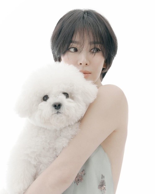 Song Joong Ki - Song Hye Kyo sau 6 nam ly hon-Hinh-5