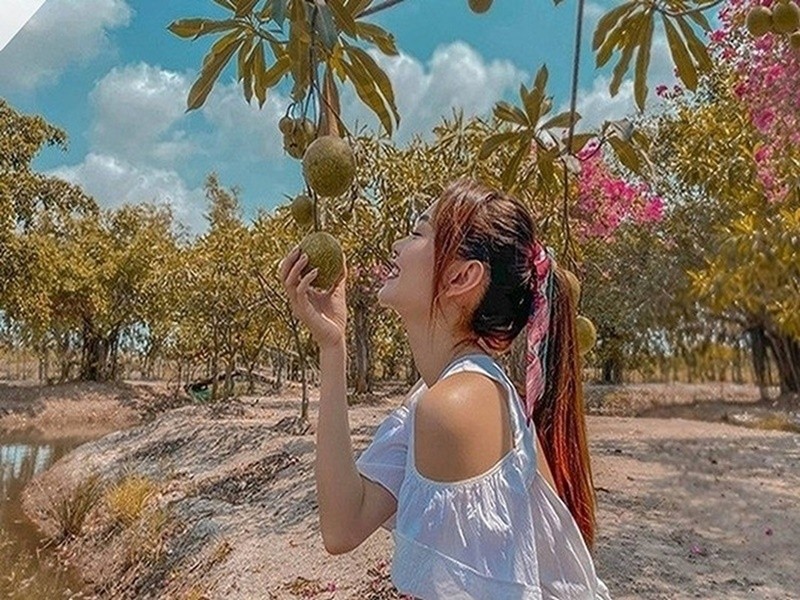 Cuoc song giau sang cua nhom 