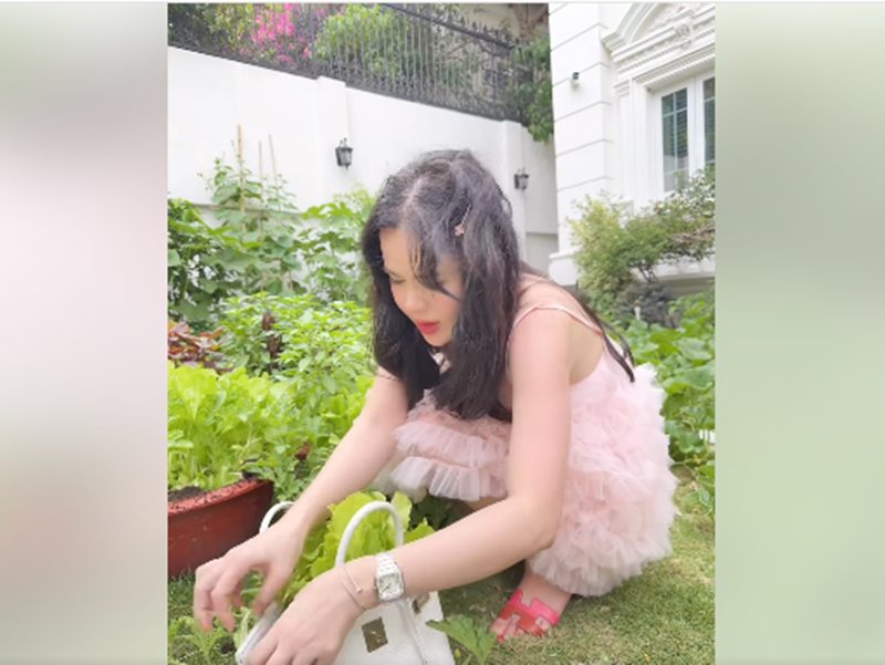 Phuong Le dung tui hieu 400 trieu dung rau-Hinh-2