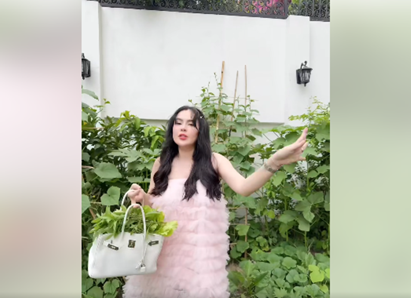Phuong Le dung tui hieu 400 trieu dung rau-Hinh-3