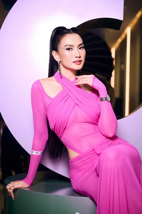 Quy tu cao 1m85, dien trai cua sieu mau Anh Thu-Hinh-11