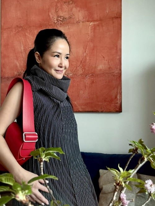 Diva Hong Nhung lam ro viec viet di chuc-Hinh-6