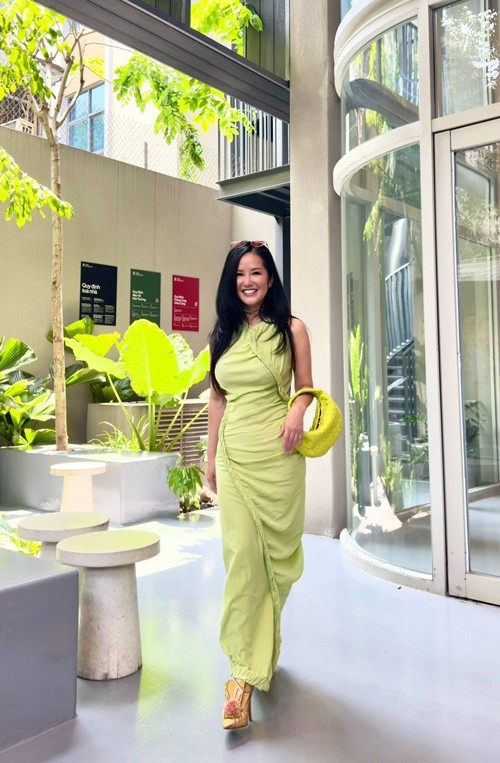 Diva Hong Nhung lam ro viec viet di chuc-Hinh-7