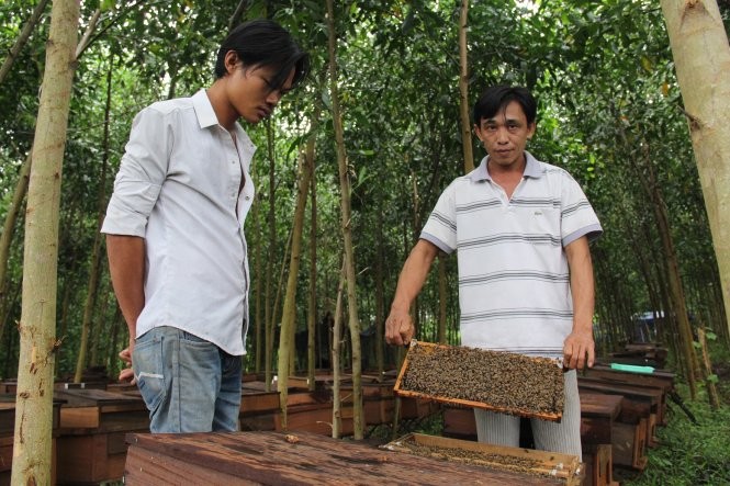 Trai  nuoi ong mat o Quang Ngai bi dan dap pha-Hinh-2