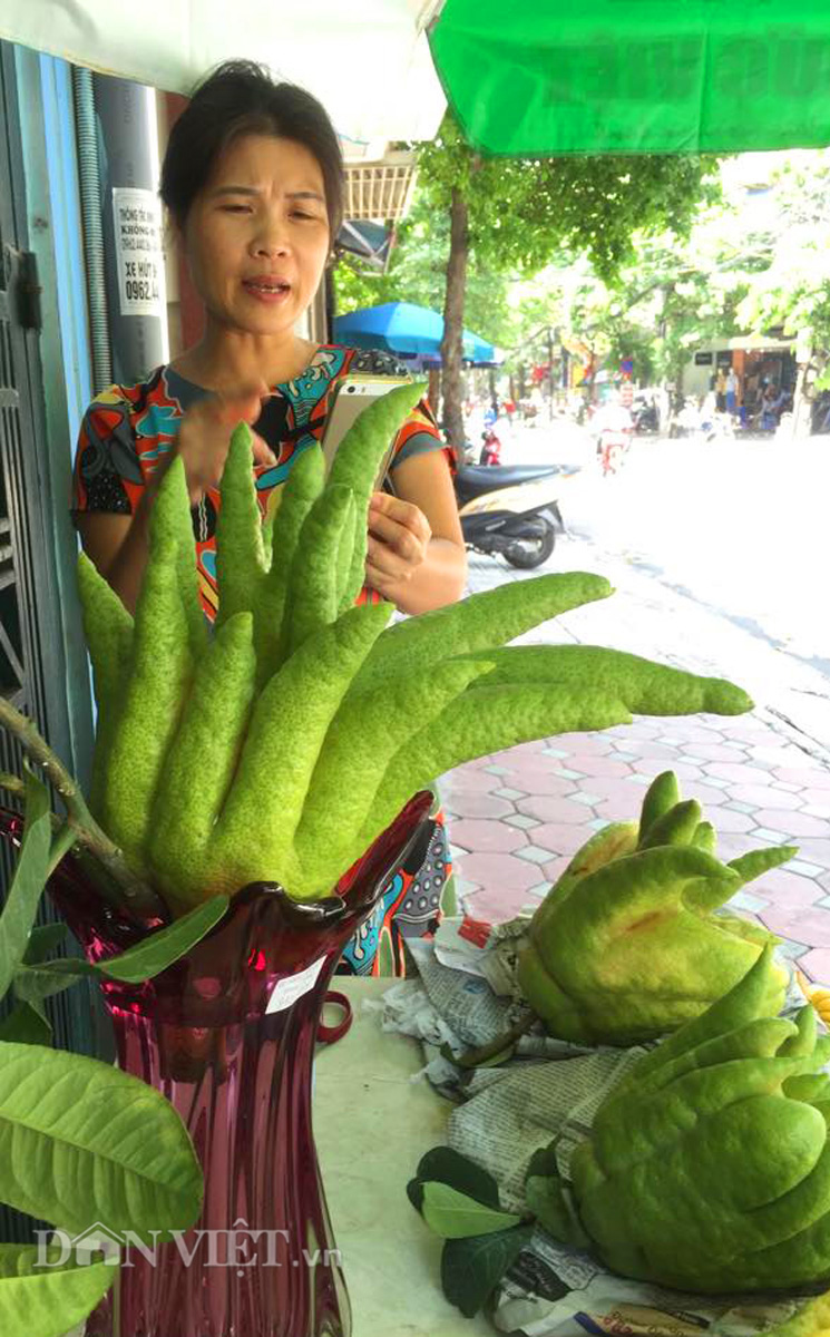 Can canh phat thu tram nghin dat hang ram thang 7-Hinh-10