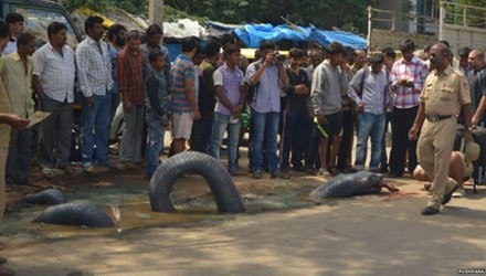 Diem mat nhung cuoc bieu tinh quai di nhat An Do